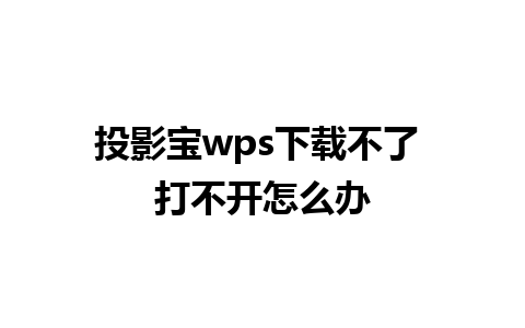 投影宝wps下载不了 打不开怎么办