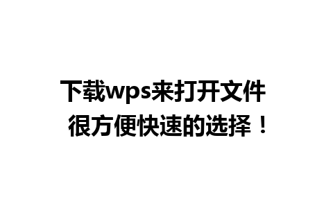 下载wps来打开文件 很方便快速的选择！