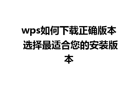 wps如何下载正确版本 选择最适合您的安装版本  