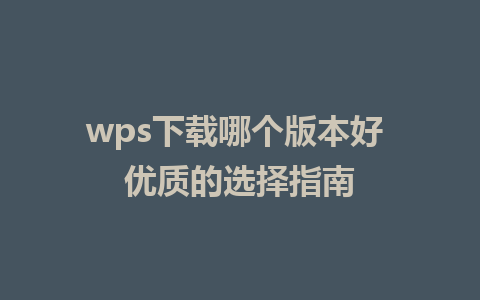 wps下载哪个版本好 优质的选择指南