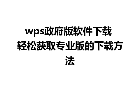 wps政府版软件下载 轻松获取专业版的下载方法