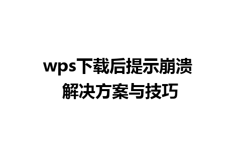 wps下载后提示崩溃 解决方案与技巧