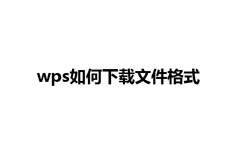 wps如何下载文件格式