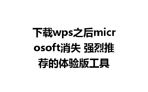 下载wps之后microsoft消失 强烈推荐的体验版工具