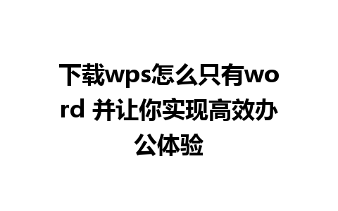 下载wps怎么只有word 并让你实现高效办公体验