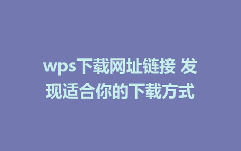 wps下载网址链接 发现适合你的下载方式