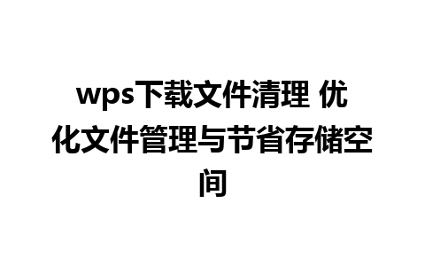 wps下载文件清理 优化文件管理与节省存储空间