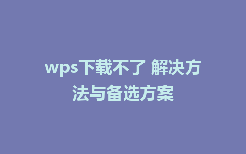 wps下载不了 解决方法与备选方案