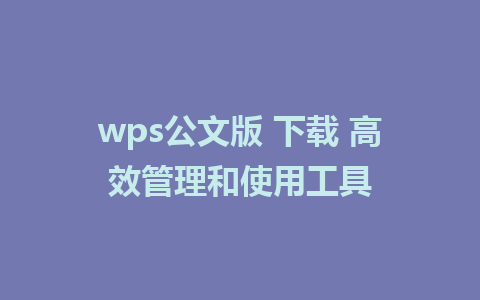 wps公文版 下载 高效管理和使用工具