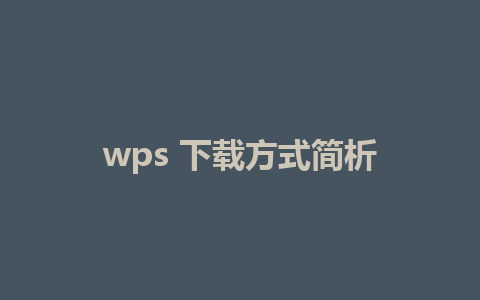 wps 下载方式简析 