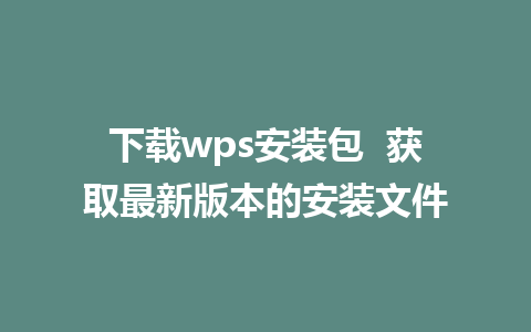 下载wps安装包  获取最新版本的安装文件