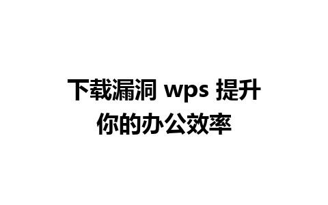 下载漏洞 wps 提升你的办公效率