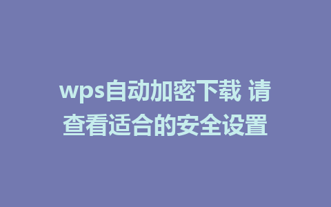 wps自动加密下载 请查看适合的安全设置 