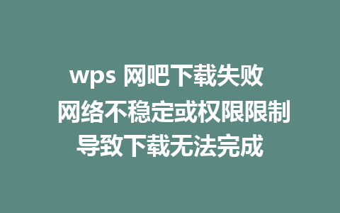 wps 网吧下载失败  网络不稳定或权限限制导致下载无法完成