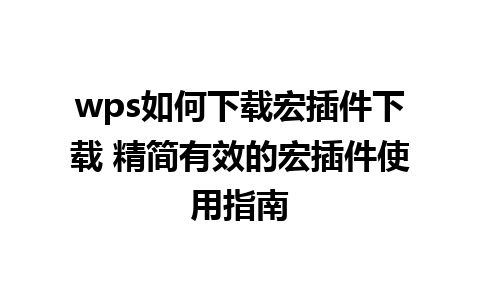 wps如何下载宏插件下载 精简有效的宏插件使用指南