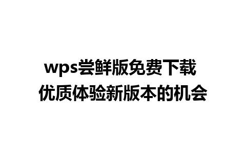 wps尝鲜版免费下载 优质体验新版本的机会