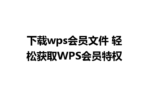 下载wps会员文件 轻松获取WPS会员特权