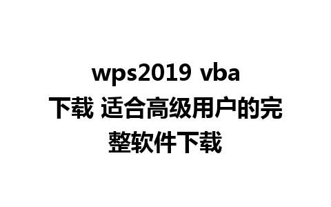 wps2019 vba下载 适合高级用户的完整软件下载