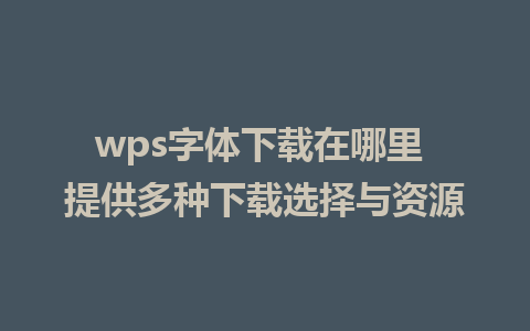 wps字体下载在哪里 提供多种下载选择与资源