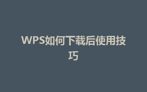 WPS如何下载后使用技巧