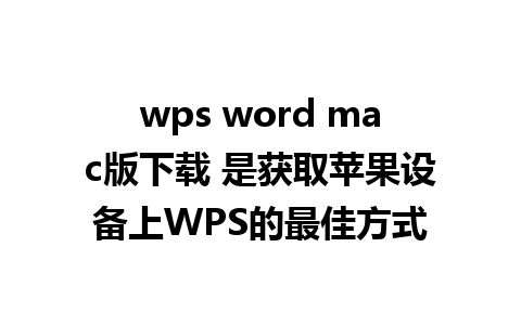 wps word mac版下载 是获取苹果设备上WPS的最佳方式