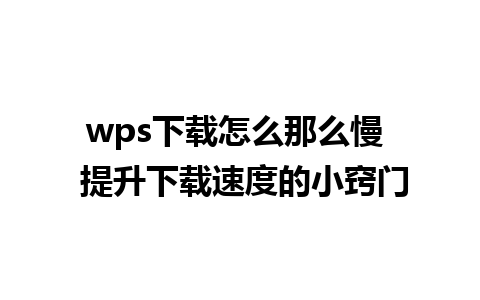 wps下载怎么那么慢  提升下载速度的小窍门