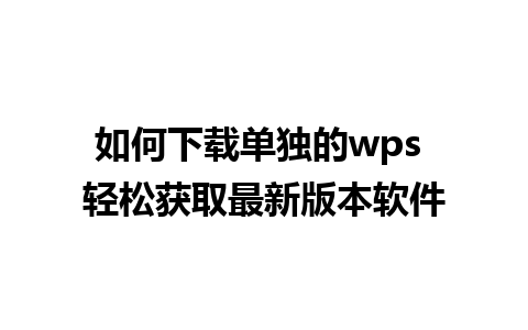 如何下载单独的wps 轻松获取最新版本软件