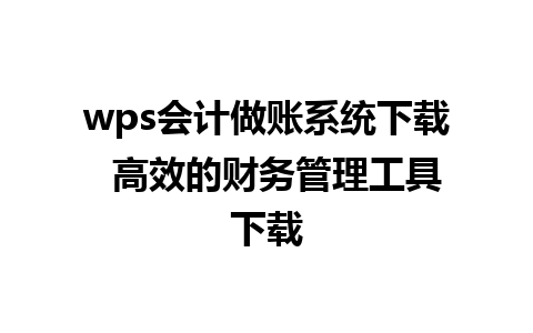 wps会计做账系统下载  高效的财务管理工具下载