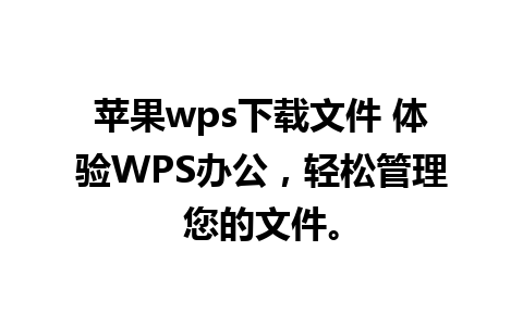 苹果wps下载文件 体验WPS办公，轻松管理您的文件。