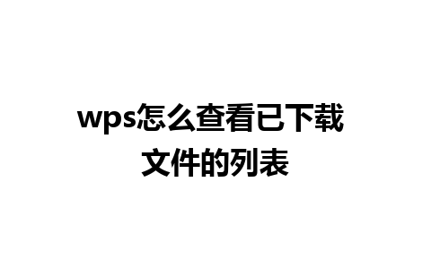 wps怎么查看已下载 文件的列表