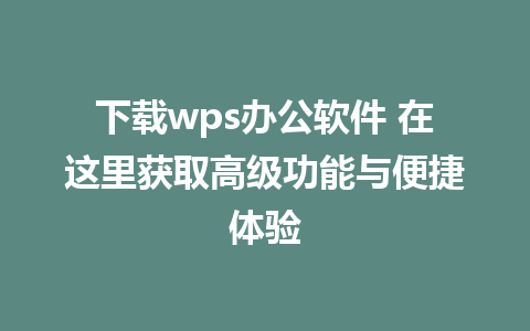 下载wps办公软件 在这里获取高级功能与便捷体验