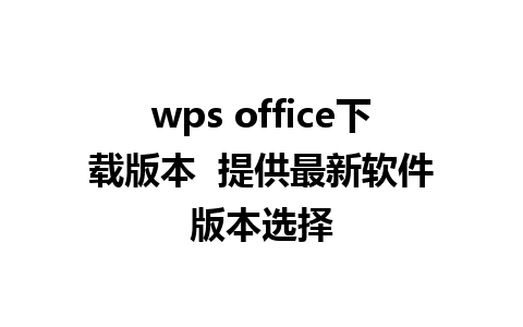 wps office下载版本  提供最新软件版本选择