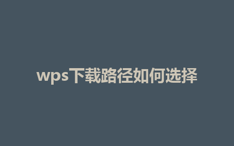 wps下载路径如何选择