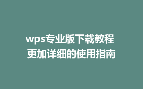 wps专业版下载教程 更加详细的使用指南