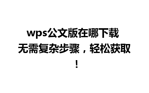 wps公文版在哪下载 无需复杂步骤，轻松获取！