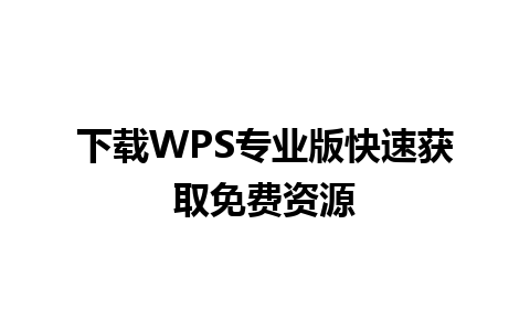 下载WPS专业版快速获取免费资源