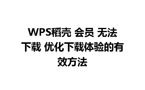 WPS稻壳 会员 无法下载 优化下载体验的有效方法