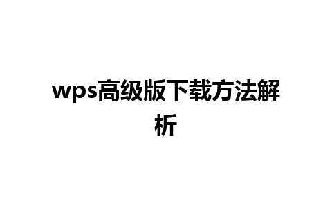 wps高级版下载方法解析