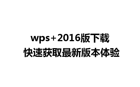 wps+2016版下载 快速获取最新版本体验