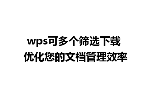 wps可多个筛选下载 优化您的文档管理效率