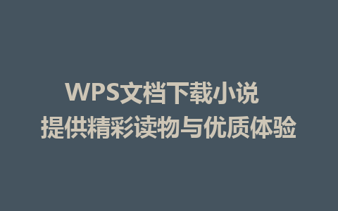 WPS文档下载小说  提供精彩读物与优质体验