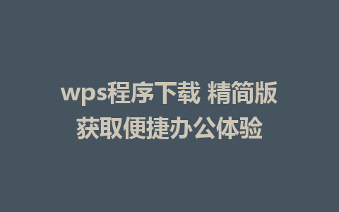 wps程序下载 精简版获取便捷办公体验