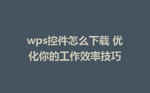 wps控件怎么下载 优化你的工作效率技巧