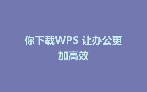 你下载WPS 让办公更加高效