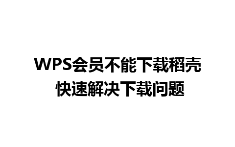 WPS会员不能下载稻壳 快速解决下载问题