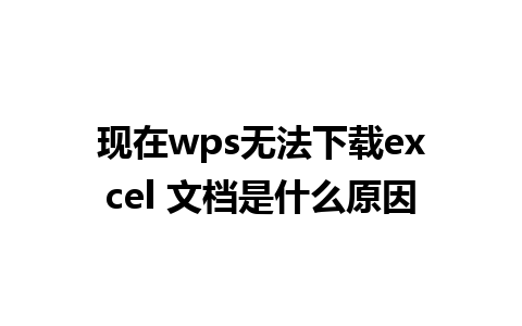 现在wps无法下载excel 文档是什么原因