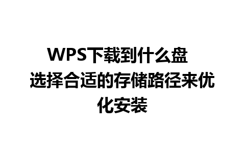 WPS下载到什么盘  选择合适的存储路径来优化安装