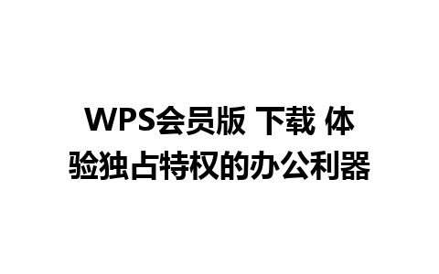 WPS会员版 下载 体验独占特权的办公利器