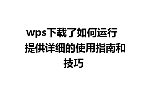 wps下载了如何运行  提供详细的使用指南和技巧