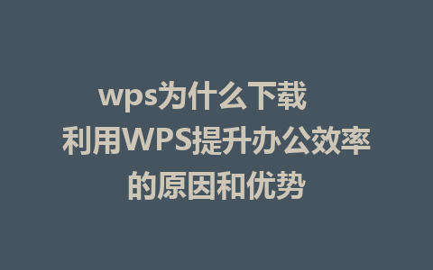 wps为什么下载   利用WPS提升办公效率的原因和优势